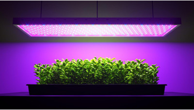 Світлодіодні фітосвітильники: як зробити правильний вибір?