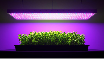 Світлодіодні фітосвітильники: як зробити правильний вибір?