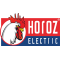 Horoz electric