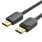 DisplayPort (DP)