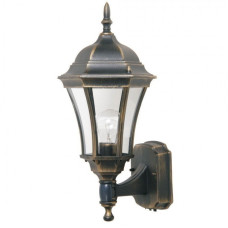 Садово-парковый настенный светильник LUSTERLICHT Dallas I 1311 QMT