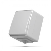Выключатель одноклавишный наружный VIDEX BINERA IP65 VF-BNW11-G
