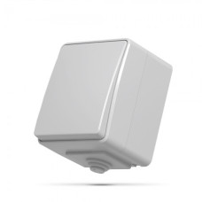 Выключатель одноклавишный наружный VIDEX BINERA IP65 VF-BNW11-G