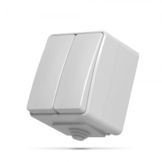 Выключатель двухклавишный наружный VIDEX BINERA IP65 VF-BNW12-G