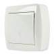 Вимикач накладний прохідний одноклавішний LEZARD Demet білий IP20 711-0200-105