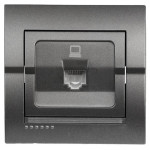 Розетка компьютерная одинарная LEZARD Deriy графит 702-2929-139