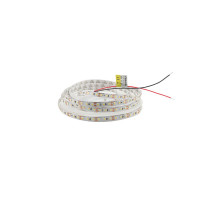 Светодиодная лента RISHANG 12V 8,6W 5000K 120led IP33 ( RN08C0TA-B ) 5м
