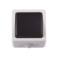 Выключатель 1-й серый накладной IP54 LUXEL 6502 DEBUT