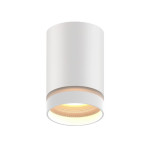 Акцентний світильник LUXEL 70х100 GU10 IP20 білий (DLD-06W)