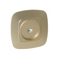 Розетка встроенная ТФ золотая ELA (112-007-0010-030) Horoz Electric