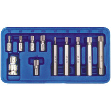 Отверточные насадки (бита) VOREL Cr-V. на трещотки "Spline" 1/2", в пластм. фут. Набор 11шт (66770)