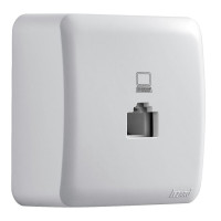 Розетка компьютерная белый 751-0200-139 VIOLA