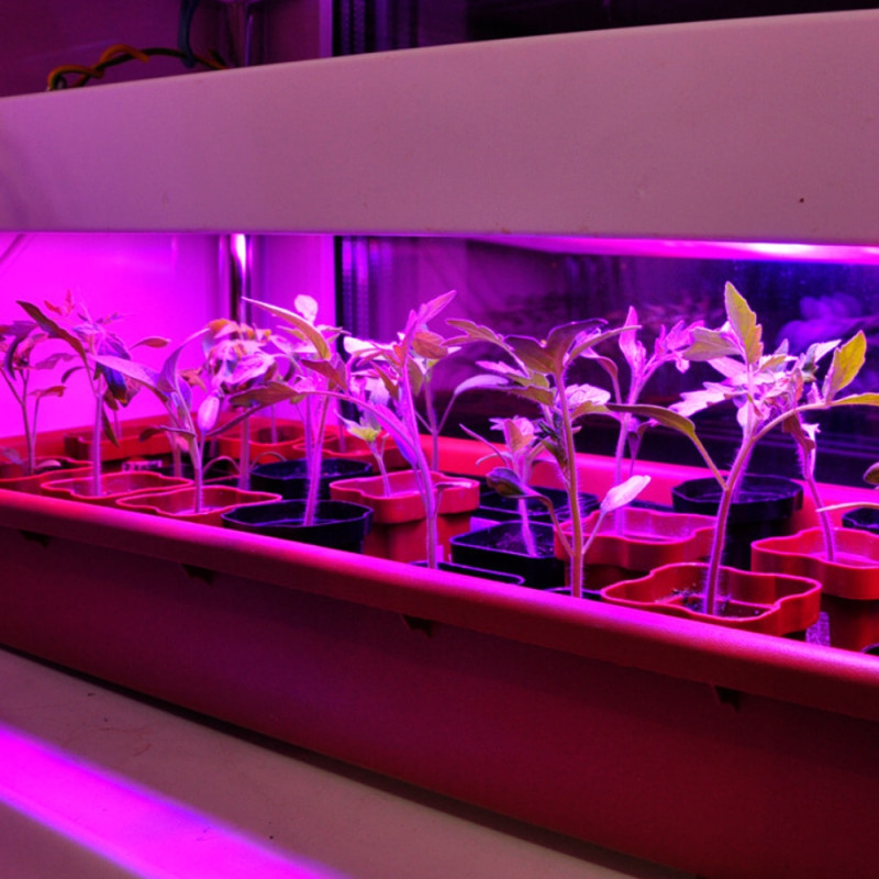 Линейный фито LED светильник VIDEX 20W T8 1,2М (VL-T8FF-2012B)