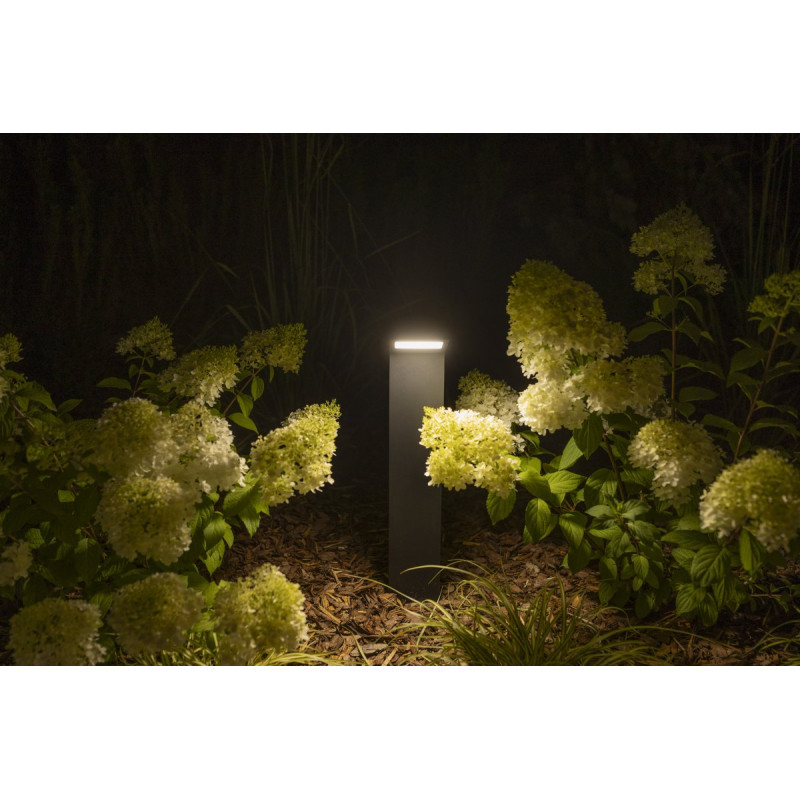 Садовий світильник LONDON СВІТЛОДІОДНИЙ 10 Вт 720 лм IP54 AC220-240 В 50 / 60 Гц 4000K пряма GTV LD-LON10W58P-10