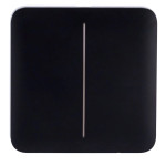 Кнопка двухклавишного выключателя Ajax SoloButton (2-gang) [55] black 