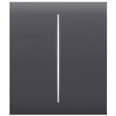 Кнопка центральная для двухклавишного выключателя Ajax CenterButton (2-gang) [55] graphite 