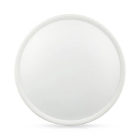 Светильник потолочный светодиодный 30W круг 300мм IP60 TM NORTE