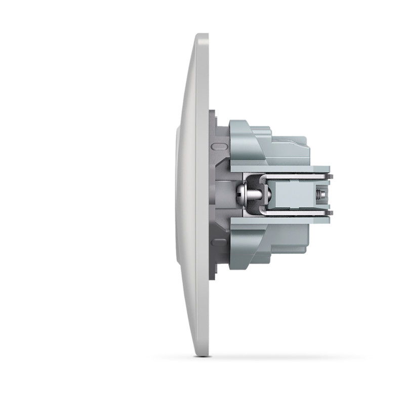 Розетка одинарная с/з VIDEX Binera серебряный шёлк (VF-BNSK1G-SS)