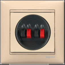 Розетка Audio двойная слоновая кость Valena Legrand (774324)