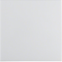 Клавіша 1Х, пол.білизна S.1 Hager 16208989