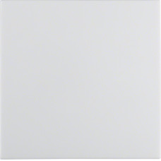 Клавіша 1Х, пол.білизна S.1 Hager 16208989