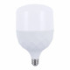 Світлодіодна LED лампа HP-50-6 T120 50W E27 6500К матова BIOM