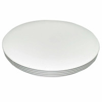 Светодиодный светильник LED BIOM DL-R106-24-5 5000K 24Вт (без пульта)