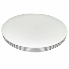 Світодіодний світильник LED BIOM DL-R106-24-5 5000K 24Вт (без пульта)