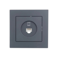 Розетка 1-я компьютерная графит 742-3488-139 серия Vesna