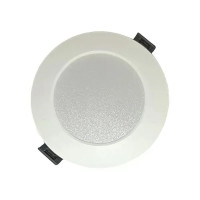 Светильник светодиодный LED BIOM DPL-R5-5 5Вт 410Lm круг белый 5000K