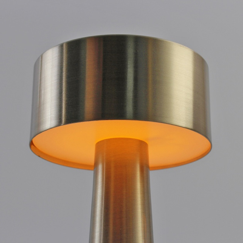 Настольная светодиодная лампа DOWN LIGHT 2W R-SENSOR-85x215-GOLD-DC5V/1A-IP20 Esllse