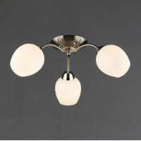 Потолочная люстра Valeso на три матовых плафона под лампу Е27 никель IP20 N6629/3