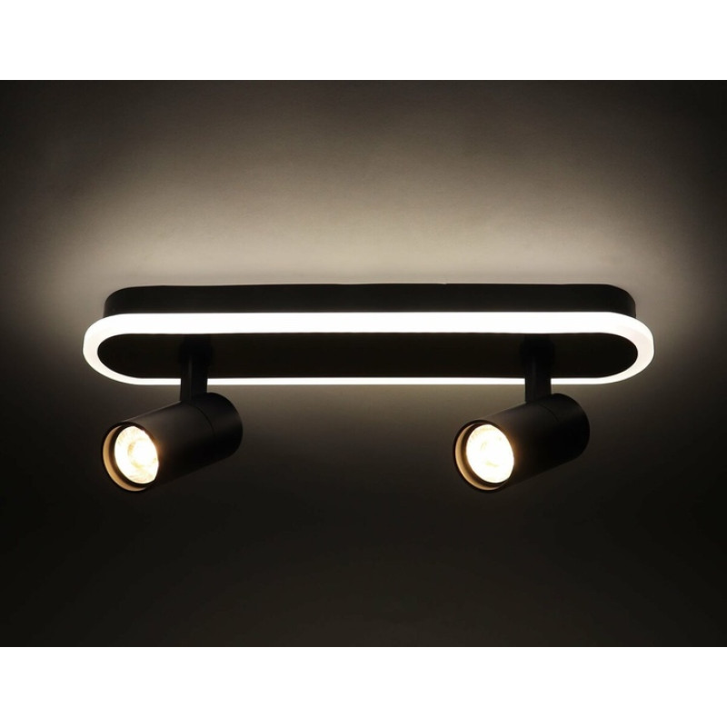 Люстра Sirius PRD-C 0371-2 42W в стиле лофт с поворотным механизмом на 2 лампочки