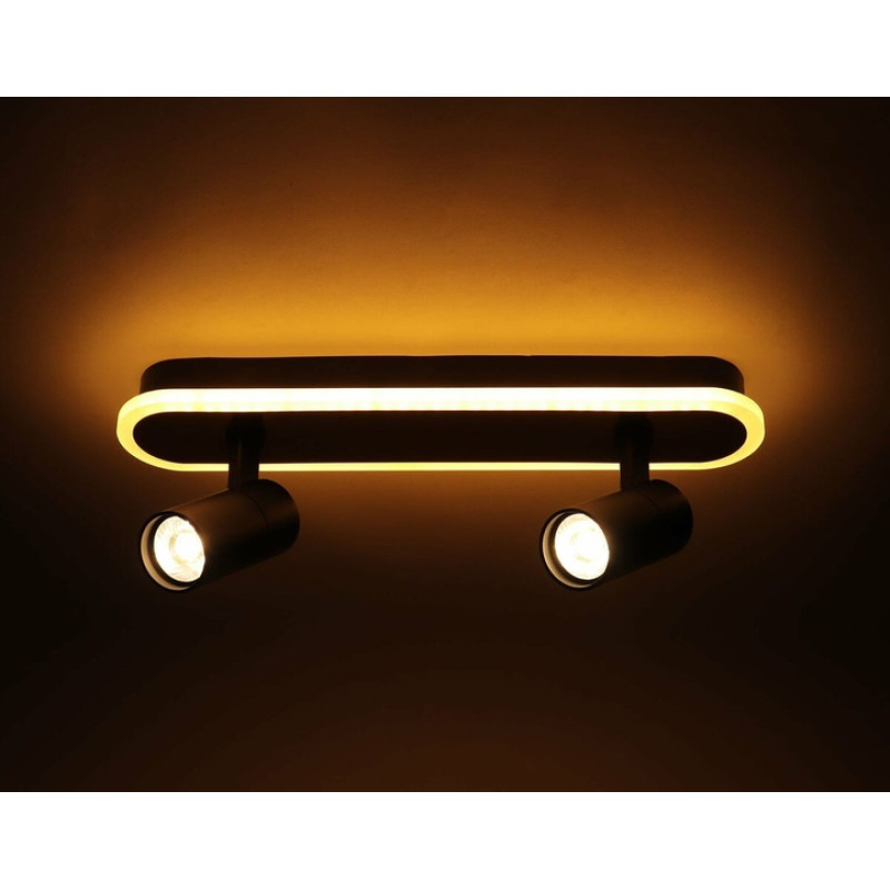 Люстра Sirius PRD-C 0371-2 42W в стиле лофт с поворотным механизмом на 2 лампочки