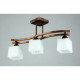 Потолочная люстра B A1505/3