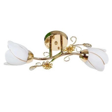 Потолочная люстра Sirius на два стеклянных плафона под лампу Е27 золотая IP20 B N0282/2