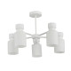 Стельова люстра Sirius на п'ять матових плафонів під лампу Е27 біла IP20 G 07471/5 Matte White