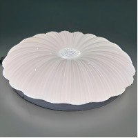 Светильник светодиодный Biom DL-R605-18 5000K 18Вт без д/к