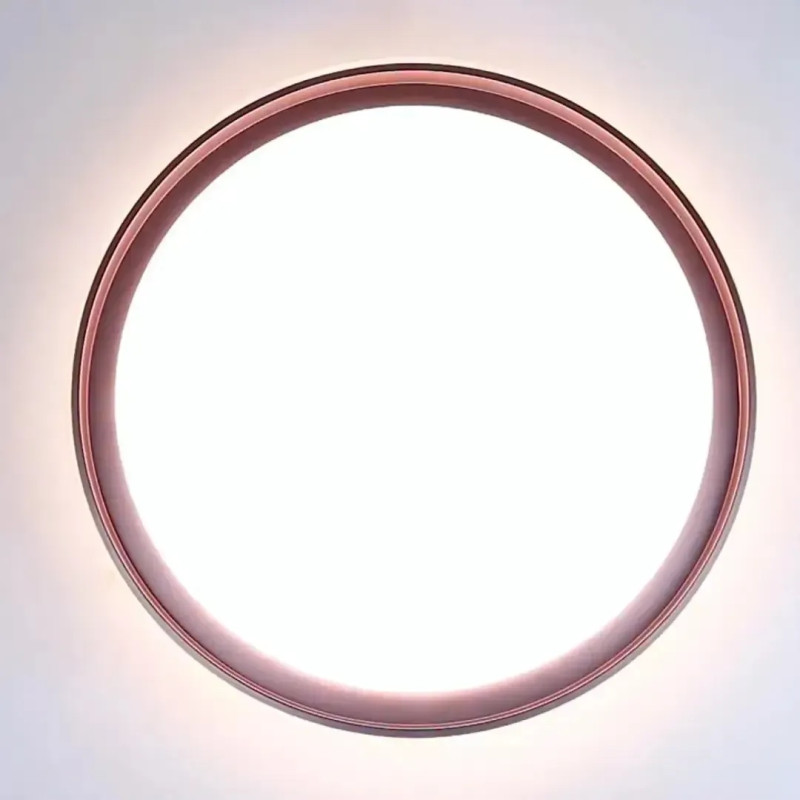 Світильник світлодіодний Biom SMART SML-R48-50/2 3000-6000K 50Вт з д/к