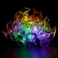 Садова світлодіодна гірлянда Sirius із квітами світло RGB на сонячній батареї 5.8м IP44 SL2885M-MG20