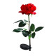 Садово-парковый светильник Sirius грунтовый в виде розы 54см красный IP44 28010