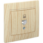 Розетка одинарная компьютерная LEZARD Mira дуб отбеленный 701-5252-139