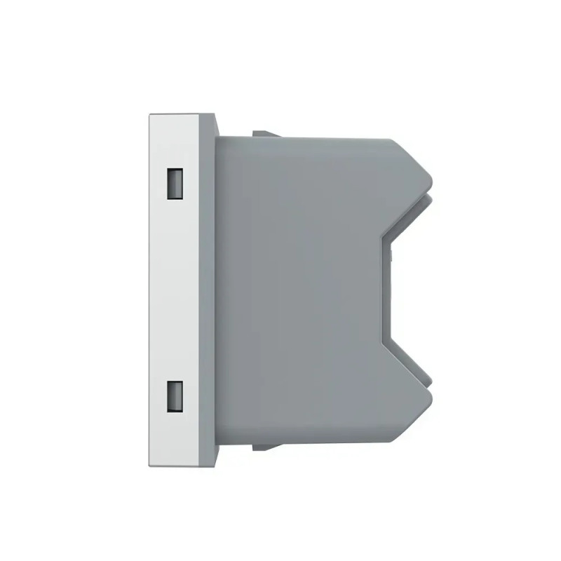 Універсальна розетка LIVOLO 2 в 1, сіра, без заземлення, з захисними шторками, модуль 0.5 поста, 16А 724000315