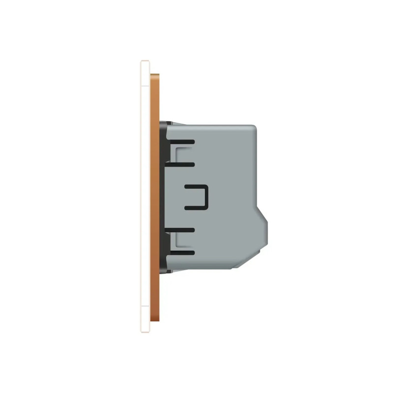 Умный сенсорный выключатель для роллет Livolo золотой (VL-FC2NWZ2-2GAP)