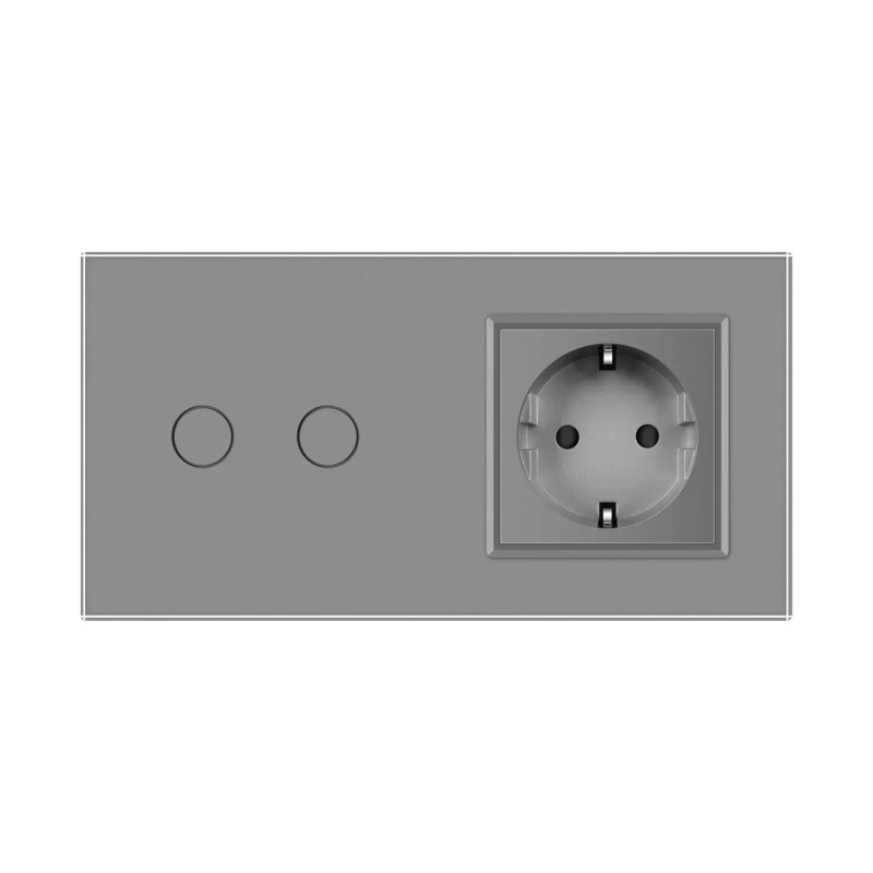 Умный сенсорный EC выключатель 2 сенсора 1 розетка LIVOLO серое матовое стекло