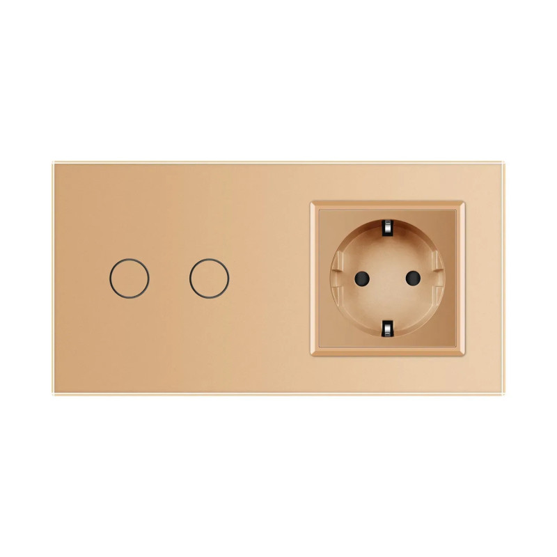 Розумний сенсорний EC вимикач 2 сенсора 1 розетка LIVOLO золото матове скло