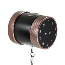 Розумний біометричний замок зі сканером відбитка пальця Livolo сірий (VL-SHL002-I)