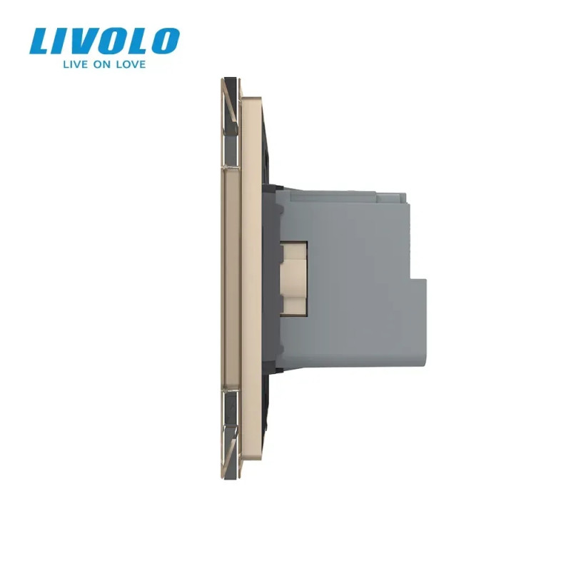 Умная розетка EC с заземлением LIVOLO золотое матовое стекло