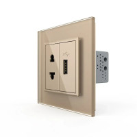 Розетка универсальная с USB розеткой LIVOLO золотое матовое стекло