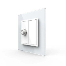 Розетка спутниковая SAT LIVOLO белое матовое стекло